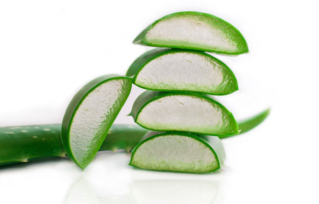 Aloe Vera - Die Knigin der Heilpflanzen